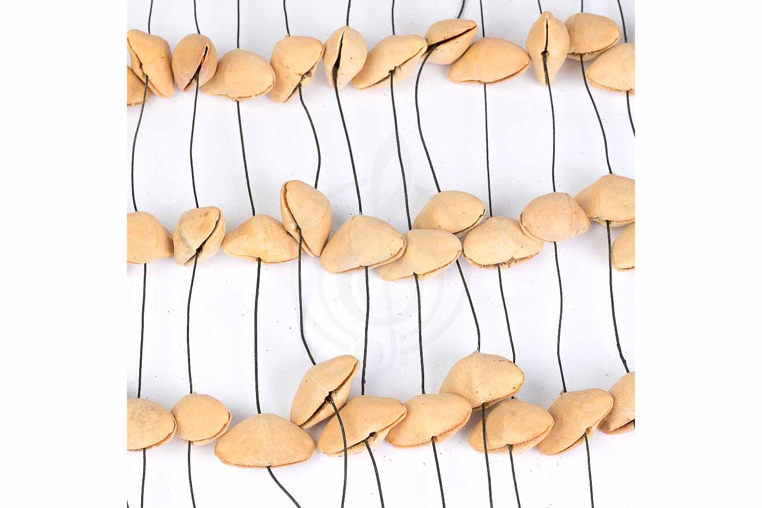 Шейкер Sela SESDC1 Seed Chime Kenari - Шейкер - фото 4