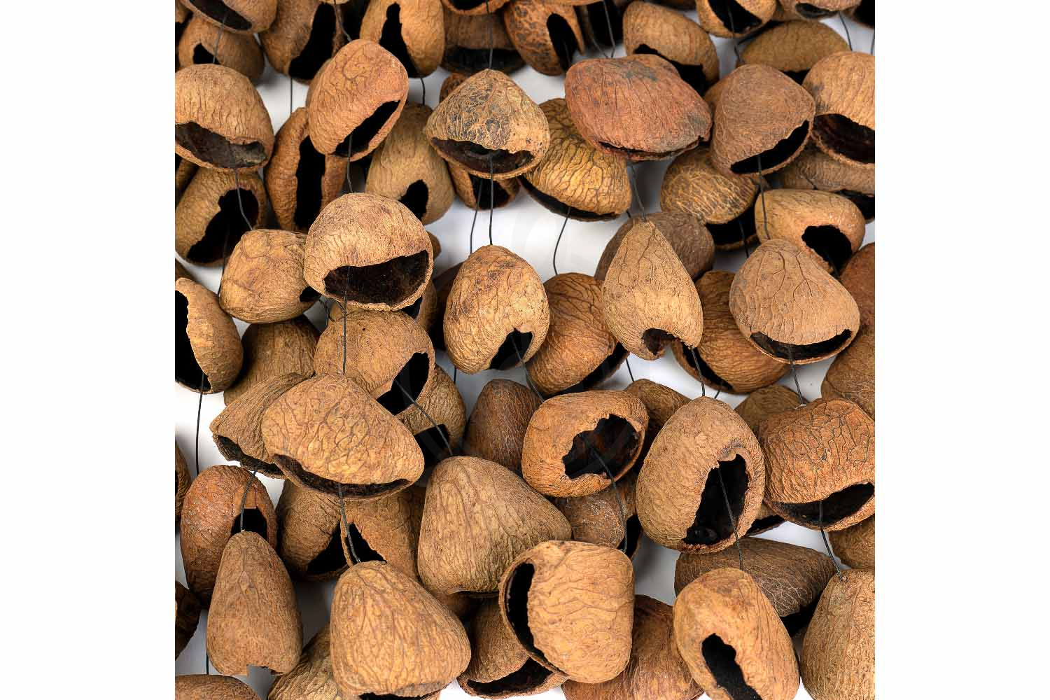 Шейкер Sela SESDC3 Seed Chime Pangi - Шейкер - фото 4