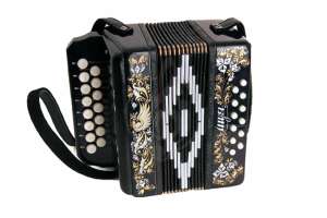 Изображение Шуйская гармонь S40XL-C-BLACK  "Сувенир" 15х12-I - Гармонь