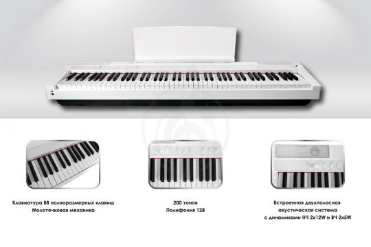 Цифровое пианино Solista DP125WH - Цифровое пианино - фото 4