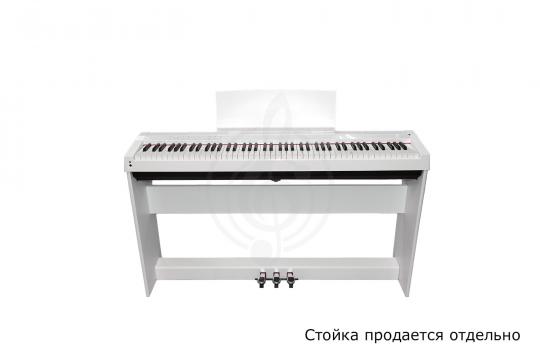 Цифровое пианино Solista DP125WH - Цифровое пианино - фото 8