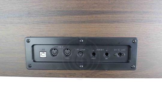 Solista DP200BR - Цифровое пианино - фото 2 Цифровое пианино Solista DP200BR - Цифровое пианино - фото 2