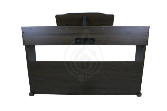 Solista DP200BR - Цифровое пианино - фото 3 Цифровое пианино Solista DP200BR - Цифровое пианино - фото 3