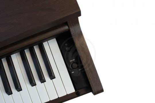 Solista DP200BR - Цифровое пианино - фото 4 Цифровое пианино Solista DP200BR - Цифровое пианино - фото 4