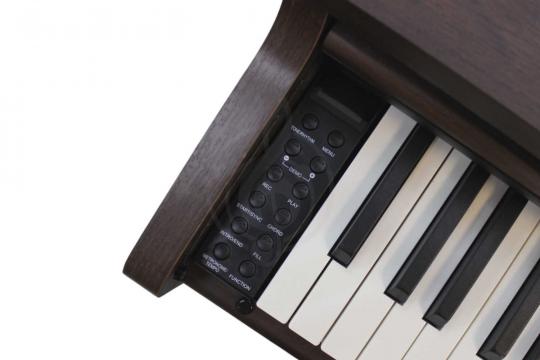 Solista DP200BR - Цифровое пианино - фото 8 Цифровое пианино Solista DP200BR - Цифровое пианино - фото 8