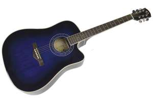 Изображение Solista SG-D1 EQ Blue