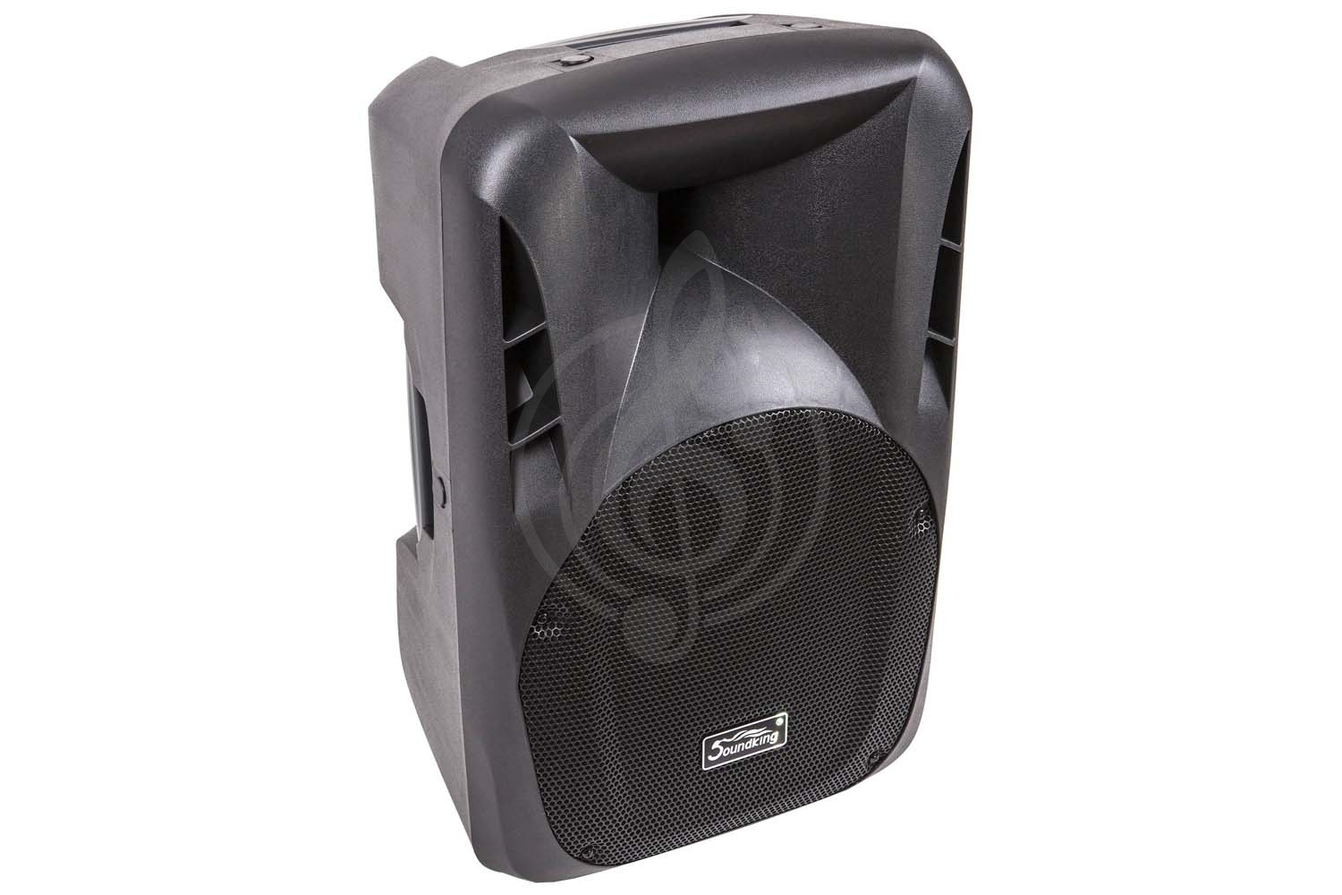 Активная акустическая система Soundking FPD12AD - акустическая система, активная 350+50Вт - фото 1