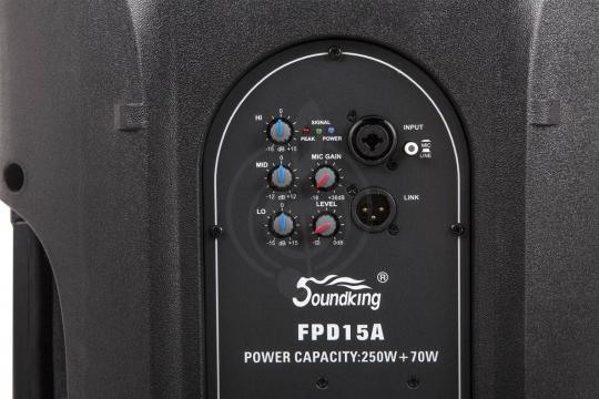Активная акустическая система SOUNDKING FPD15A - активная акустическая система - фото 2