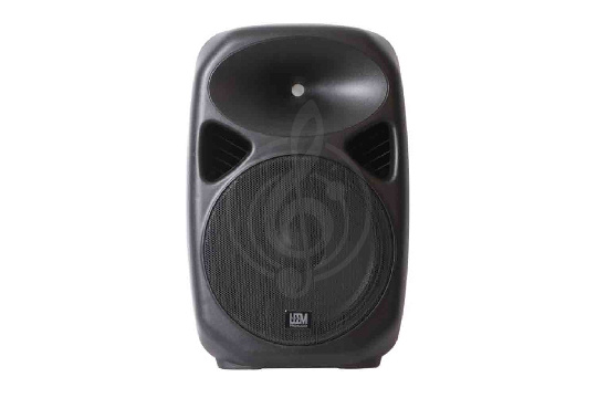 Активная акустическая система SPA-12 Акустическая система активная, MP3, SD, USB, BT, 100Вт, Leem - фото 1