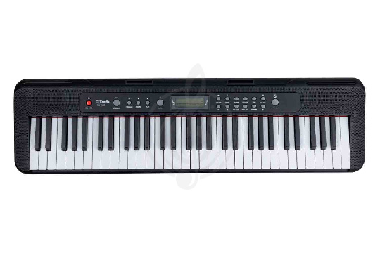 Синтезатор TERRIS TK-405 BK - Синтезатор - фото 1