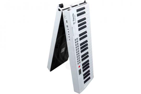 Синтезатор TERRIS TK-440 WH - Синтезатор - фото 6