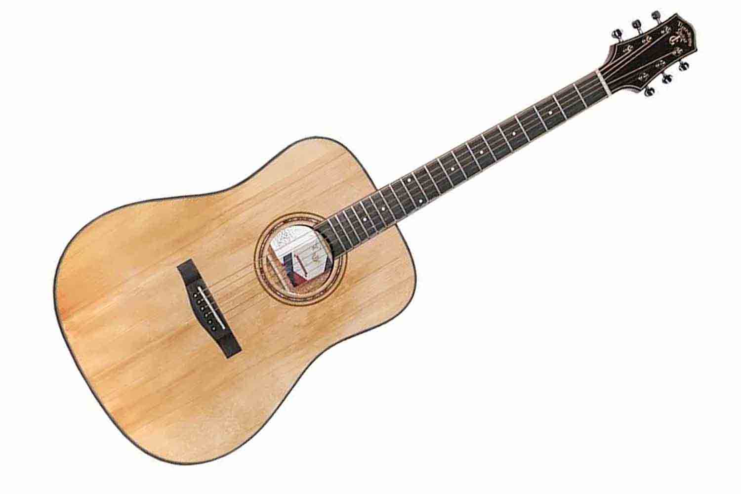 Трансакустическая гитара TIGER T-1 D-GGP NS - Трансакустическая гитара - фото 1