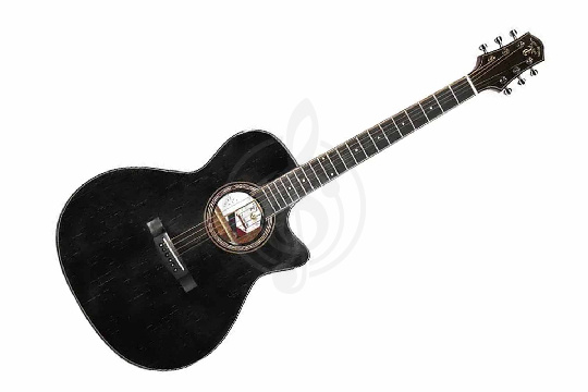 Трансакустическая гитара TIGER T-1-GGP OMC-TBK - Трансакустическая гитара - фото 1