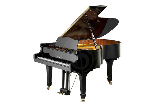 W. Hoffmann Vision V 183 BLP - Рояль акустичексий черный, полированный - фото 1 Акустический рояль W. Hoffmann Vision V 183 BLP - Рояль акустичексий черный, полированный - фото 1