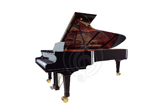Wendl&Lung VG278BK - Рояль акустический, черный - фото 1 Акустический рояль Wendl&Lung VG278BK - Рояль акустический, черный - фото 1