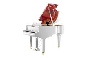Изображение Wendl&Lung W162WH