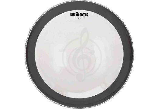 Изображение Williams W1SC-7MIL-14 Clear Silent Circle Series - Пластик для том-барабана 14", прозрачный