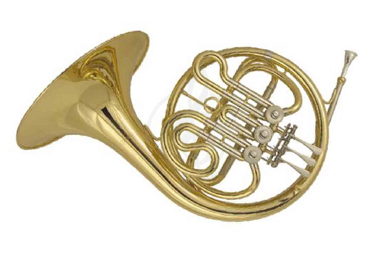 Валторна Wisemann DFH-CB450 - Валторна - фото 1