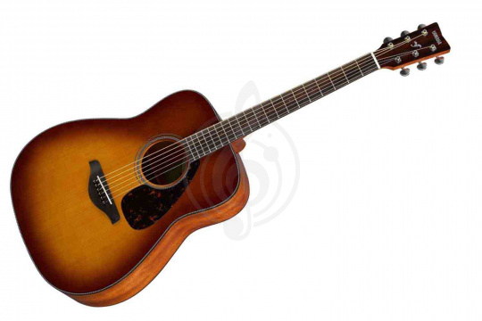 Акустическая гитара YAMAHA FG800SB - Гитара акустическая - фото 1