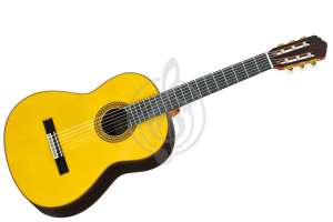 Изображение Yamaha GC22S 