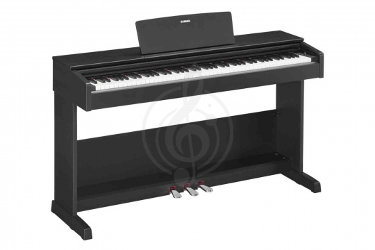 Изображение Yamaha YDP-103B