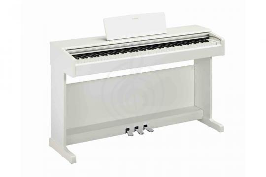 Цифровое пианино YAMAHA YDP-145WH - Цифровое пианино - фото 2