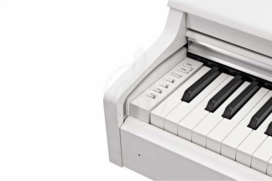 Цифровое пианино Yamaha YDP-164WH - Цифровое пианино - фото 