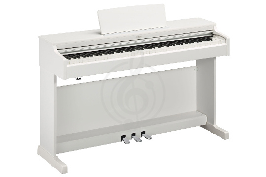 Цифровое пианино Yamaha YDP-164WH - Цифровое пианино - фото